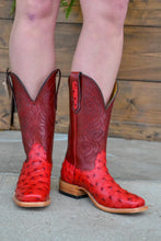 Load image into Gallery viewer, The Rockin Robin Boots